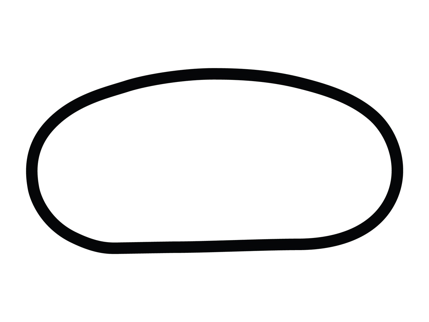 Texas World Speedway Oval Decal